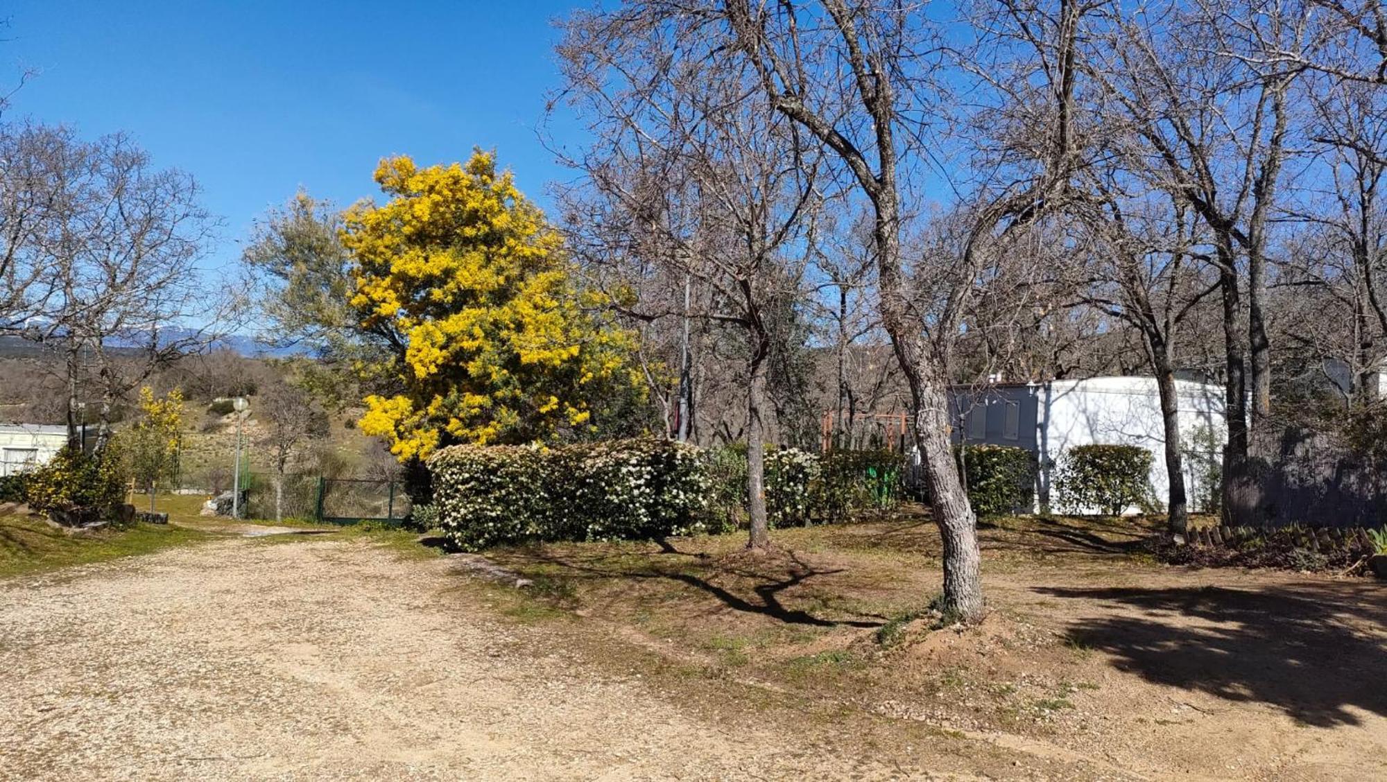 Camping De Cervera De Buitrago Zewnętrze zdjęcie