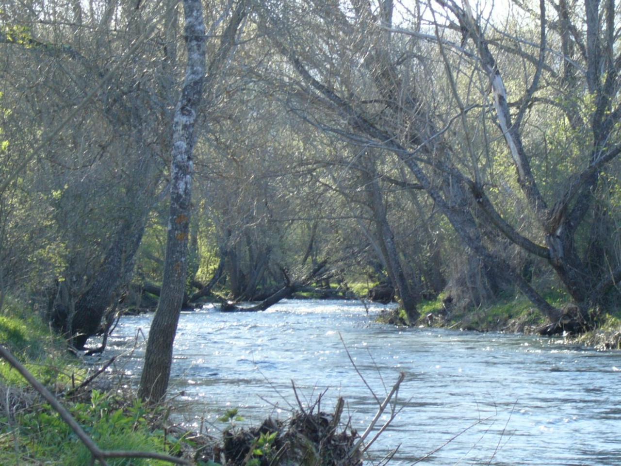 Camping De Cervera De Buitrago Zewnętrze zdjęcie