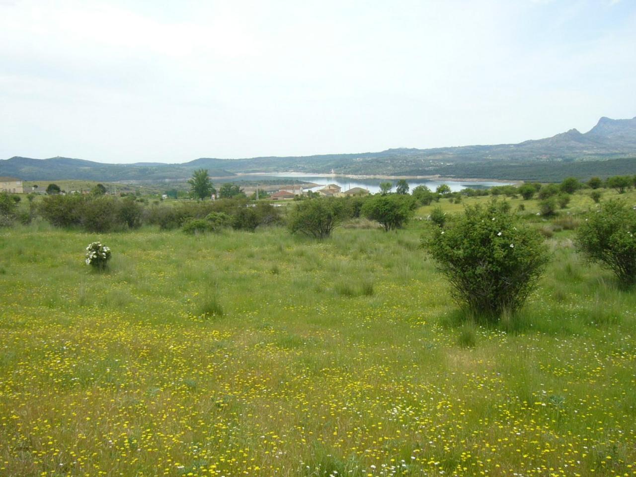 Camping De Cervera De Buitrago Zewnętrze zdjęcie