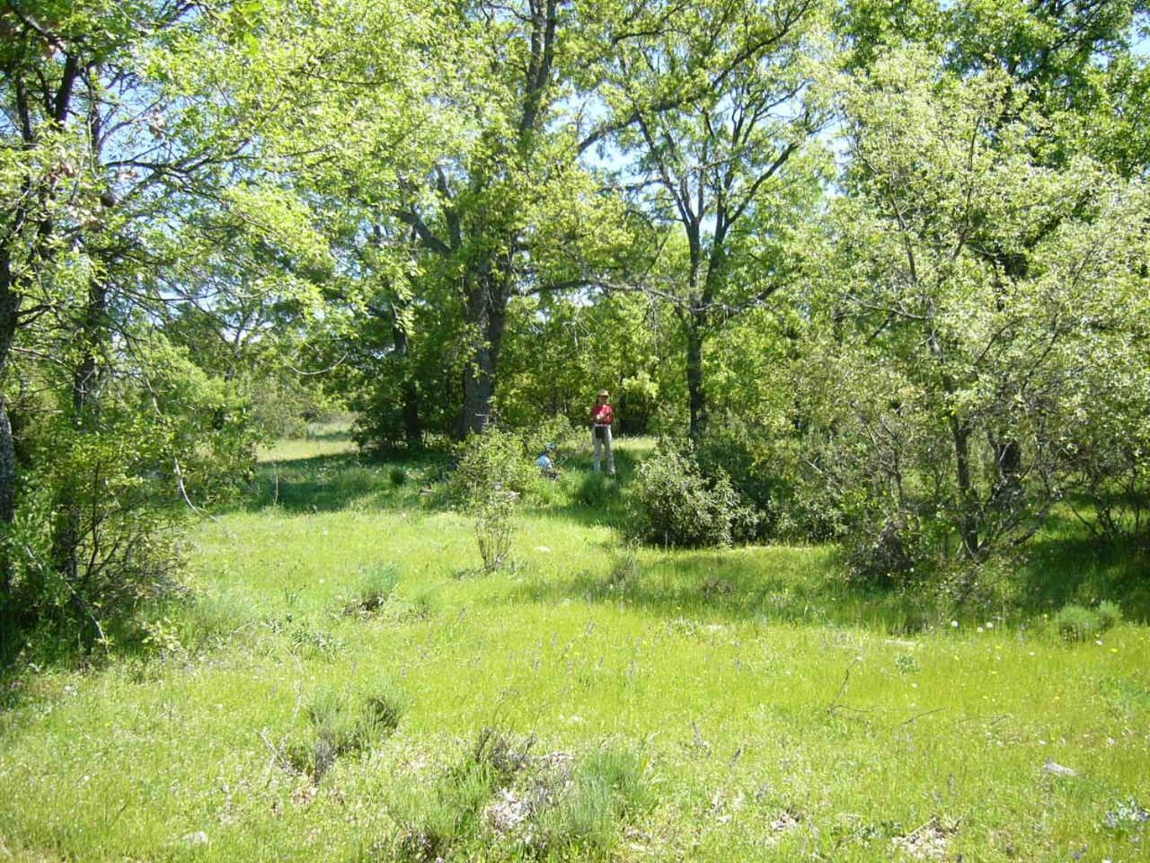 Camping De Cervera De Buitrago Zewnętrze zdjęcie